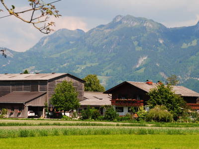 Bild 2 aus  Ferienhof Kopf