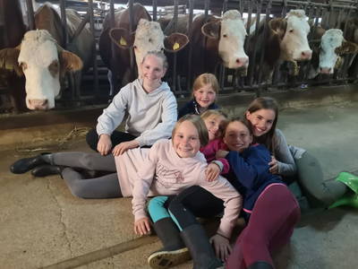 Bild 142 aus  Erbhof Hinting + Appartementhaus Hinting