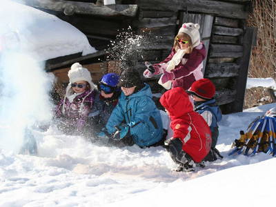 Bild 66 aus  Tobadillerhof Kinderbauernhof Pitztal Tirol