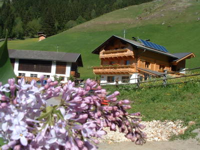 Bild 47 aus  Apartment Lacklhof