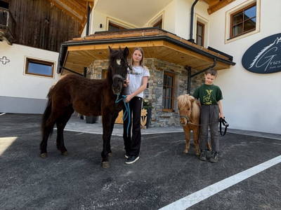 Bild 3 aus  Griesbauer - Familie Gehwolf