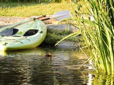 Bild 12 aus  Lodge am Wasser