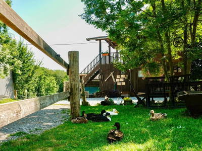 Bild 6 aus  Römerweg