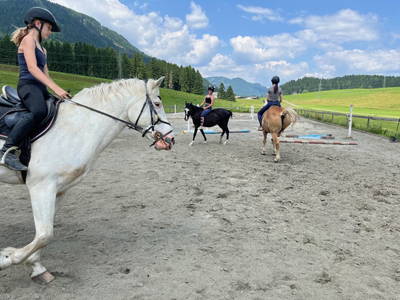 Bild 19 aus  Kuchlbauer