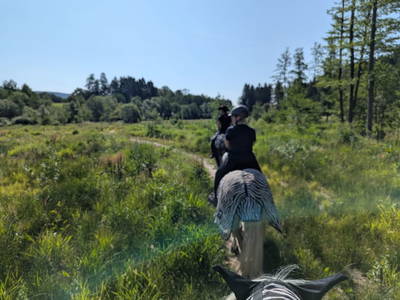 Bild 56 aus  Bio- und Reiterhof Gollner