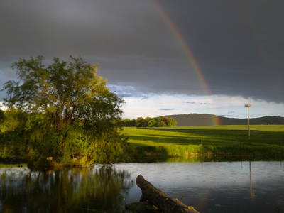 Bild 36 aus  Gut Sommereichen