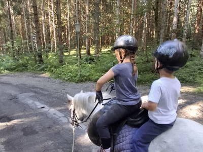 Bild 60 aus  Pferdehof Oberegg