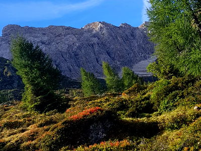 Bild 73 aus Bauernhof Pergila