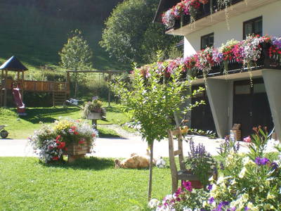 Bild 26 aus  Hanslgrabner