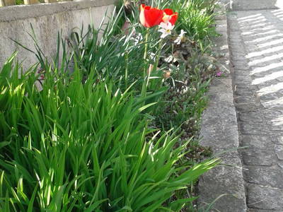 Bild 20 aus  Peinbauerhof