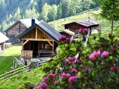 Bild 53 aus  Hinteregger