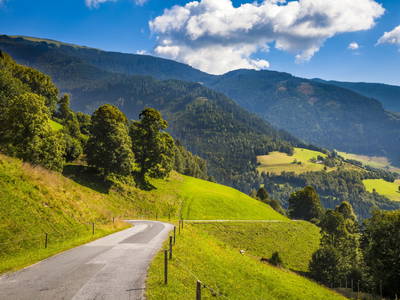 Bild 29 aus  Naglbauer