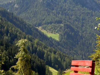 Bild 78 aus Berggasthof Steckholzer