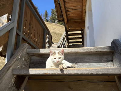 Bild 120 aus  Schuistlhof