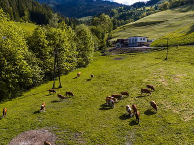 Bild 70 aus  Hofquartier Retzmoar