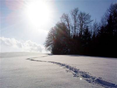 Bild 18 aus Sunnhof