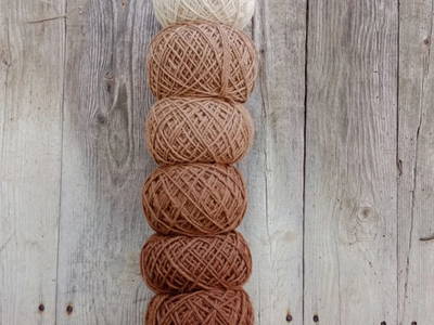 Bild 61 aus  Bergbauernhof Stauder, vlg. Oberrauter