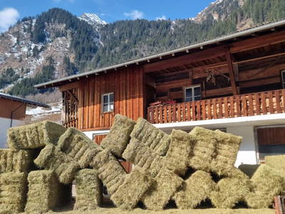 Bild 39 aus  Alfaierhof & Bergheimat