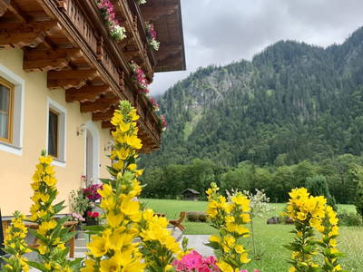 Bild 97 aus  Alpen Appartements Oberlehengut