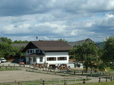 Bild 174 aus  Isländerhof Köck vlg. Kristanhof