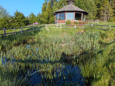 Bild 8 aus  Frühstückspension Buchner