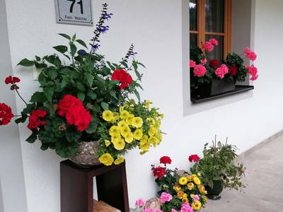 Bild 31 aus  Kirchenbichler