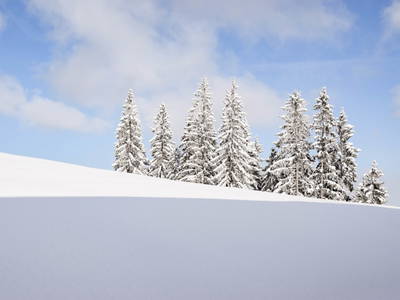 Bild 13 aus  Ferienhaus Gegg vlg. Pauritschmichl