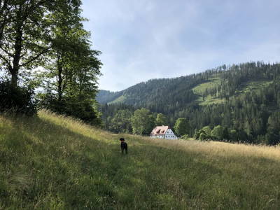 Bild 70 aus  Die Hinterbreiteneben - Natur, Alleinlage & Ski