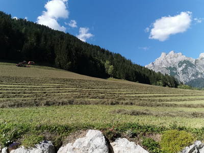 Bild 27 aus  Mayrhof