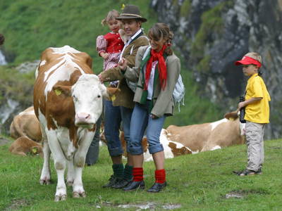 Bild 59 aus  Smiley Fluss Chalet