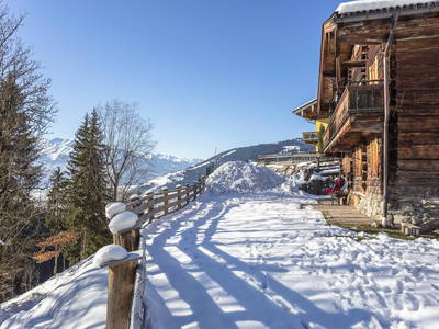 Bild 16 aus  Holzknechtalm