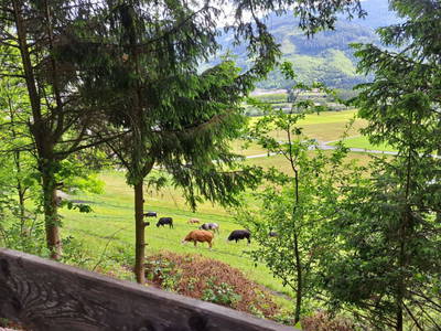 Bild 25 aus  Prechtlerhütte