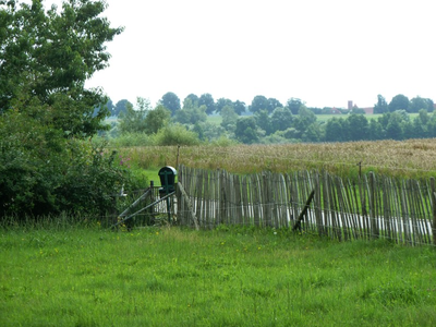 Bild 4 aus  Ferien in Zahren