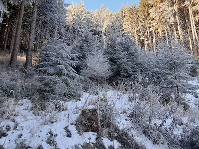 Bild 25 aus  Hudax Hütte