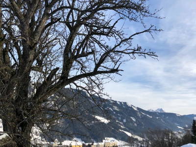 Bild 35 aus  Lutzmannalm