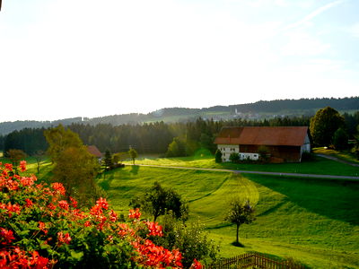 Bild 38 aus Biohof Heidegger