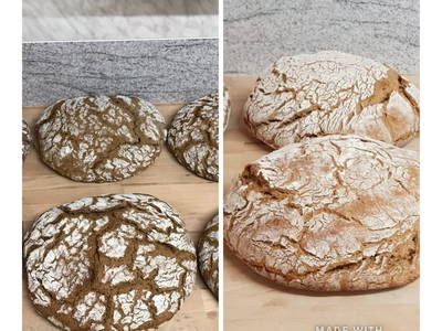 Bild 239 aus  Seewaldhof