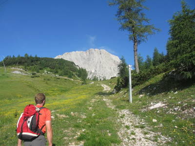 Bild 54 aus  Bio-Bergbauernhof Weger, vlg. Rübenstöffl