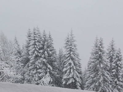 Bild 60 aus  Neuhaus