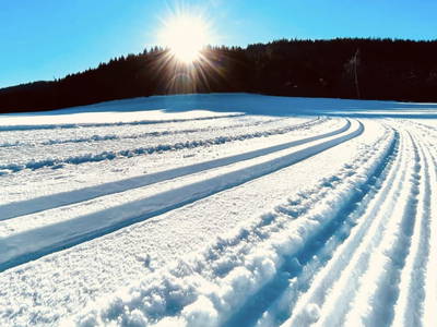 Bild 18 aus  Hacknerhof