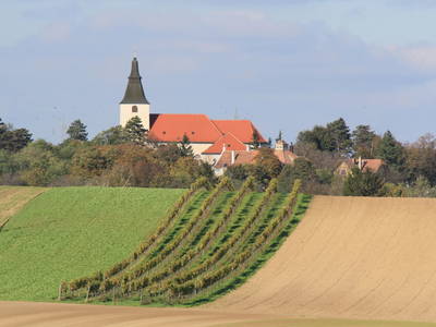 Bild 100 aus  Winzerhof Küssler, Weinviertel