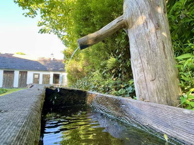 Bild 19 aus  Pferdehof Gugganig