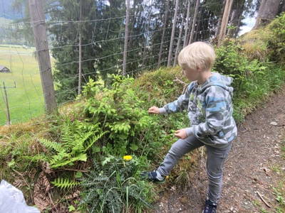 Bild 21 aus  Rosspointnerhof