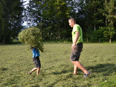 Bild 78 aus  Dorner Hof