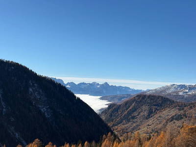 Bild 14 aus  Suntinger Kasa