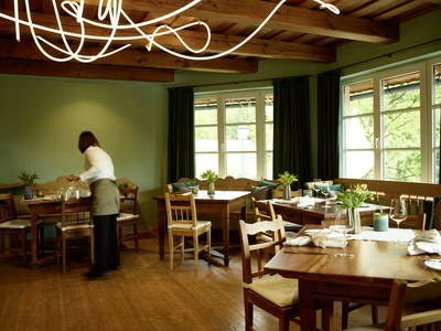 Bild 41 aus  Weingut Krispel