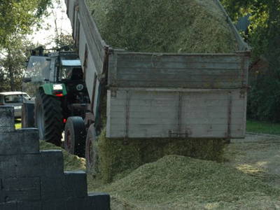 Bild 23 aus  Ferienhof Borchers