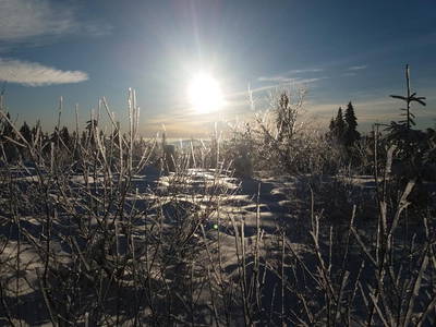 Bild 6 aus  Gästehaus Schmalzreich
