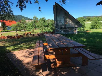 Bild 15 aus  Ferienpension-Bauernhof Mattenhof