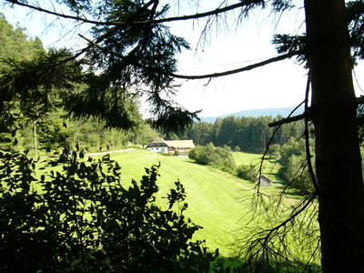 Bild 49 aus  Schlosshof - der Urlaubsbauernhof